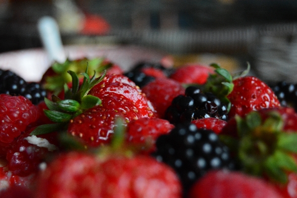 Plant raspberry fruit berry Photo