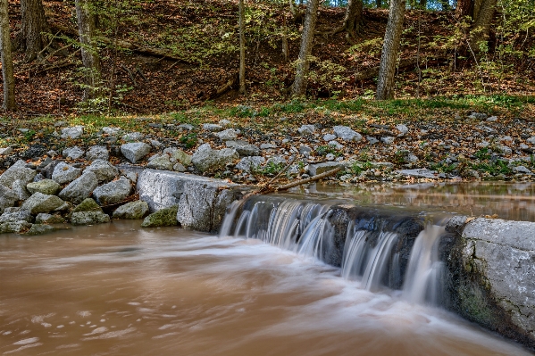 Landscape water nature forest Photo