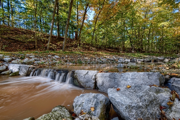 Landscape tree water nature Photo