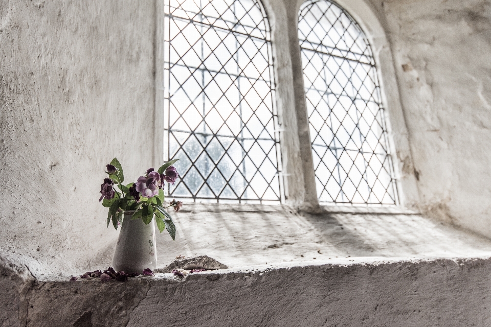 Light white flower window