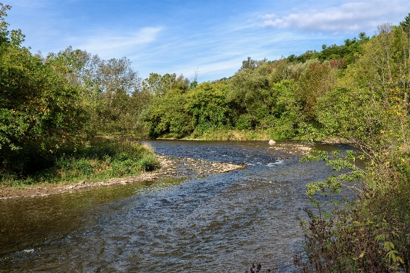 Water creek wilderness trail Photo