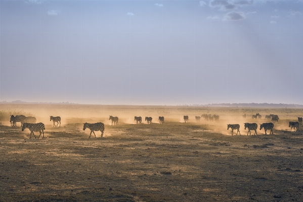 風景 砂 地平線 ウォーキング 写真