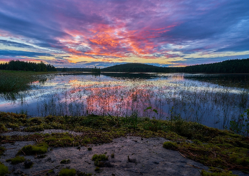 Krajobraz drzewo woda natura