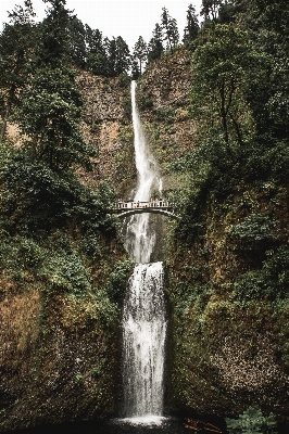 木 水 森 滝 写真