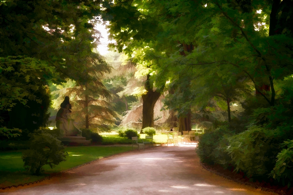 Baum natur wald weg