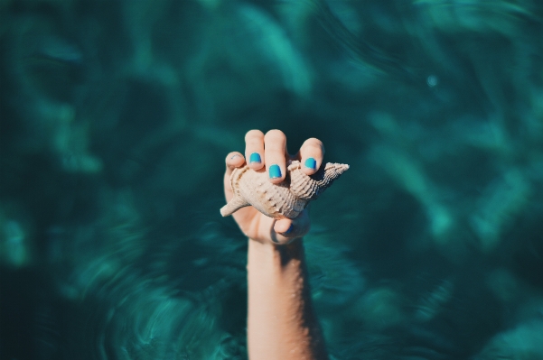 手 海 水 水中 写真