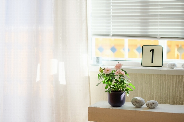 White interior window home Photo