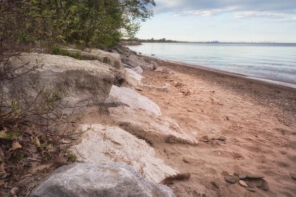 Beach sea coast water Photo