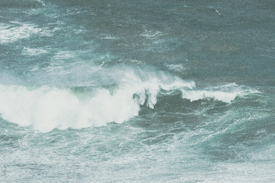 Beach sea coast water