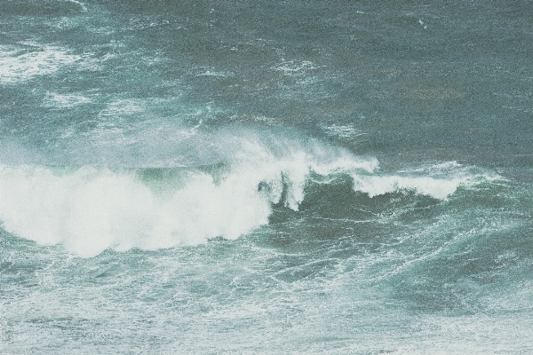 Beach sea coast water Photo