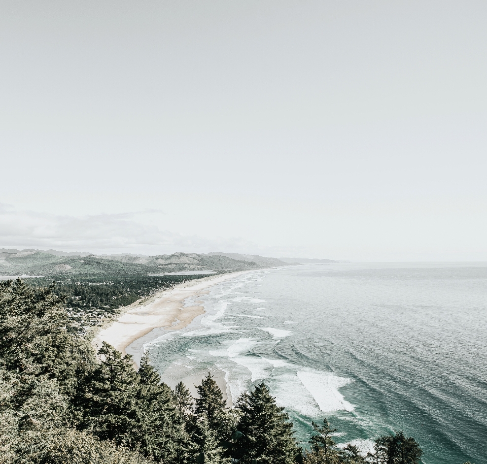 海滩 海 海岸 水