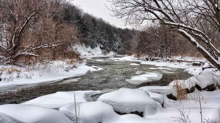 Landscape tree water branch Photo