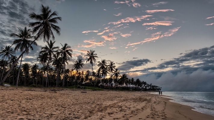 Beach landscape sea coast Photo