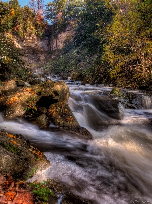 Landscape tree water nature Photo