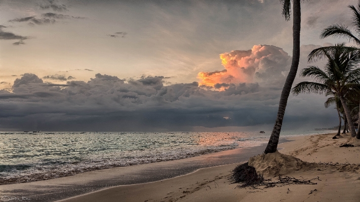 Beach landscape sea coast Photo