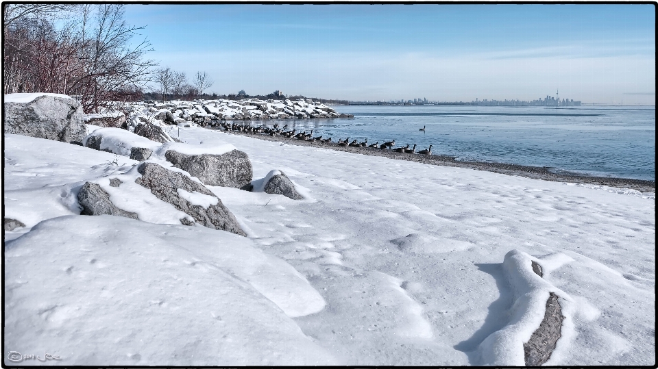 景观 海 水 雪