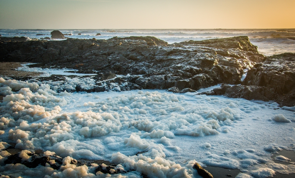 пляж море побережье вода