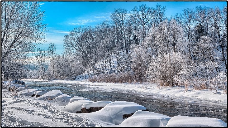 Paisagem árvore região selvagem
 neve