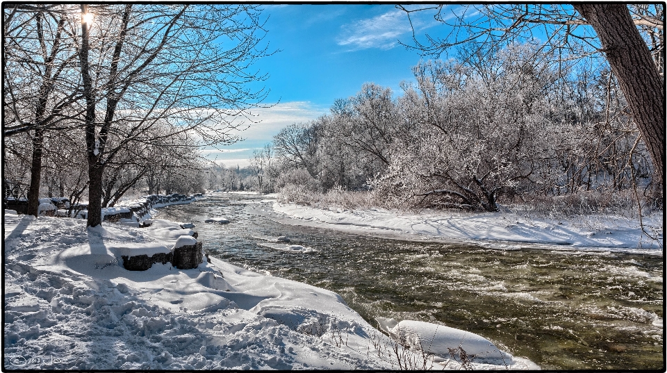 Paysage arbre neige hiver