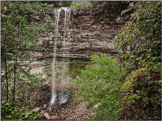 Forest rock waterfall trail Photo