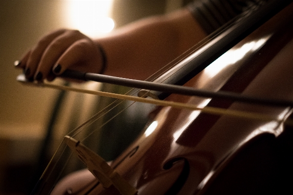 Foto Pianista strumento musicale pianoforte violoncello