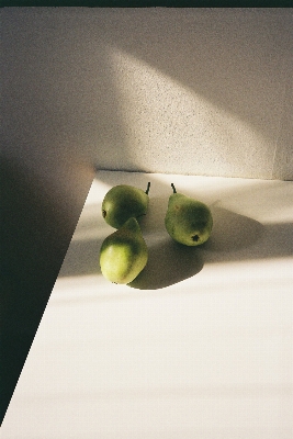 Light plant white fruit Photo