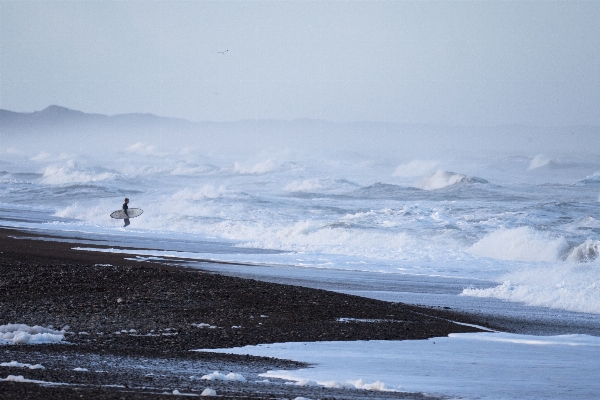 Beach sea coast water Photo