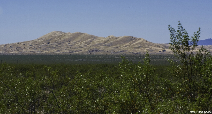 Landscape grass wilderness mountain Photo