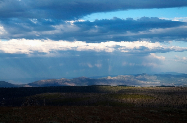 Landscape nature horizon wilderness Photo