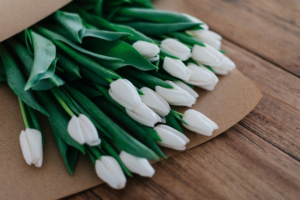 Hand white flower petal Photo