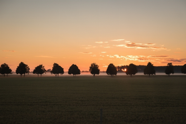 Horizon cloud sky sun Photo