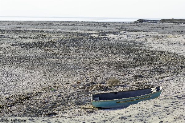 Beach sea coast sand Photo