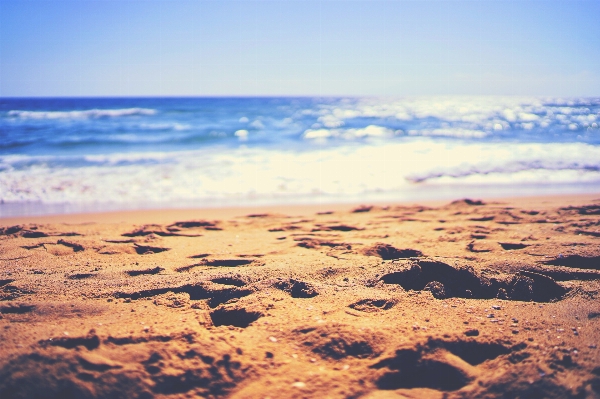 Beach landscape sea coast Photo