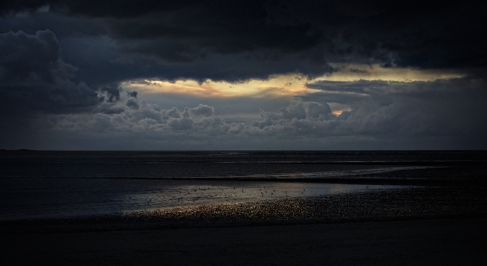 Strand meer küste wasser