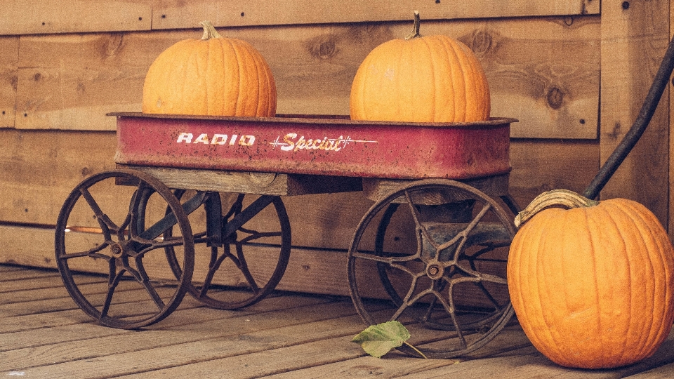 Legna carro autunno zucca