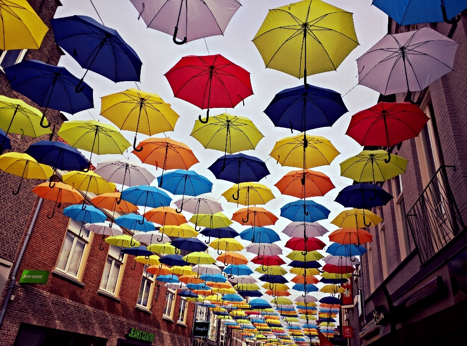 Fenêtre parapluie couleur jouet