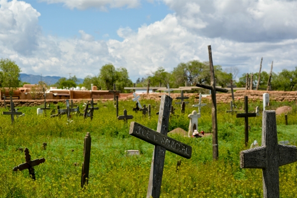 Landscape meadow pasture cemetery Photo