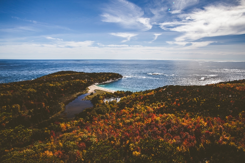 Beach landscape sea coast