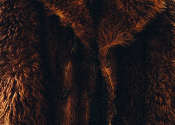 Tree texture fur coat Photo