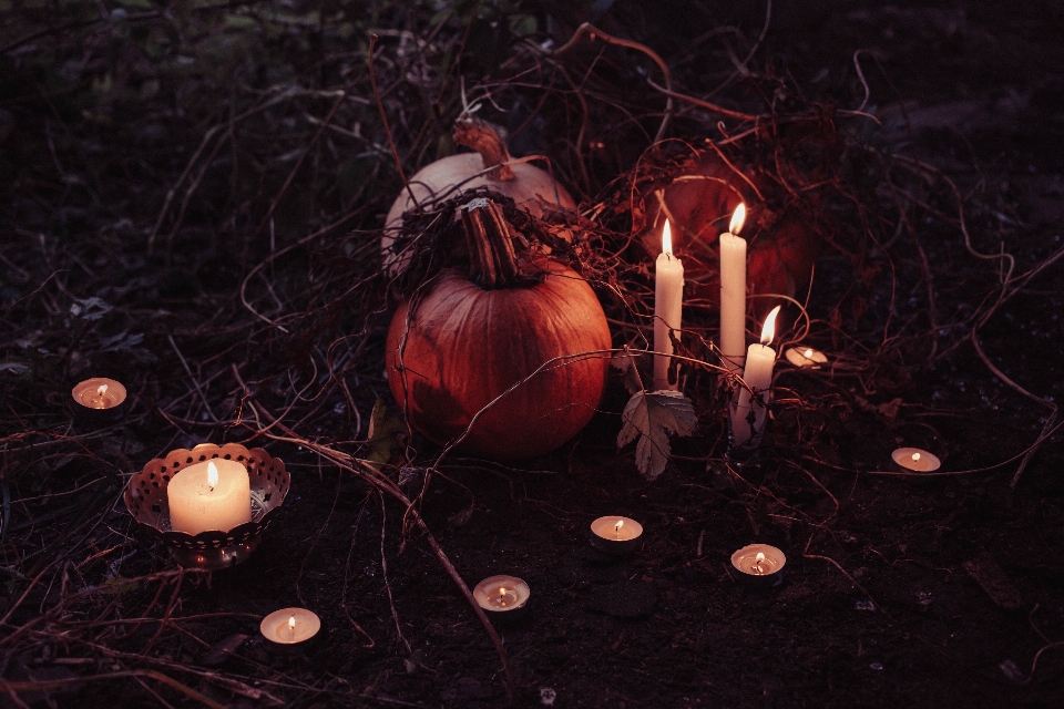 Branch light night pumpkin