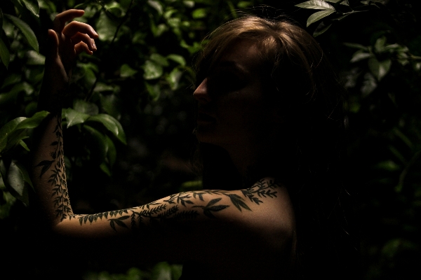 Nature forest grass woman Photo