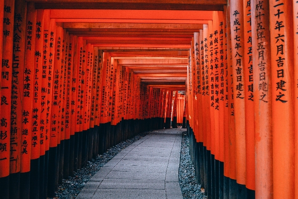 Path pathway architecture wall Photo