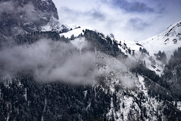 Ağaç doğa dağ kar Fotoğraf