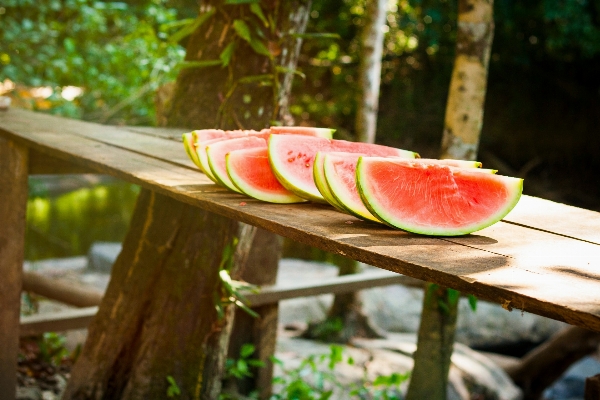 Foto árbol planta fruta hoja