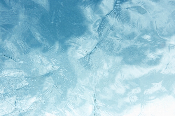 Water wing cloud sky Photo