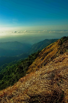 Landscape sea coast nature Photo