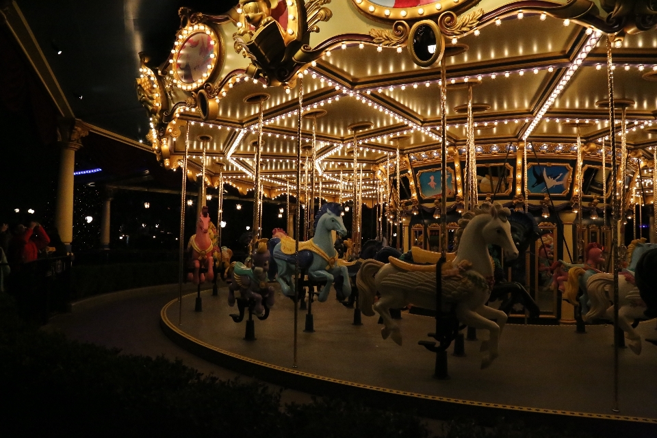 Recreation amusement park carousel