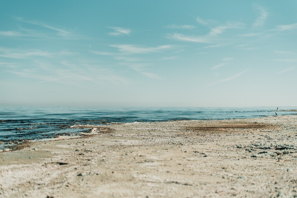 Beach sea coast water