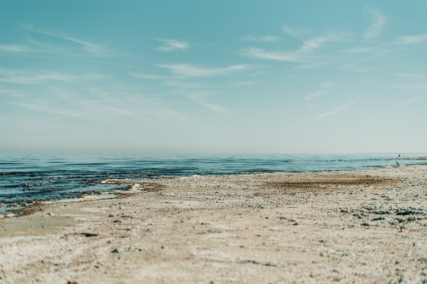 Beach sea coast water Photo