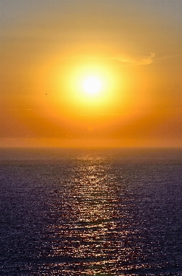 Beach sea coast ocean Photo